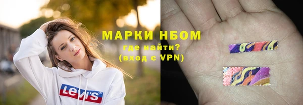 СК Алексин