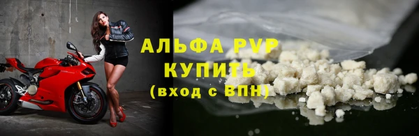 СК Алексин
