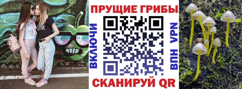 Галлюциногенные грибы GOLDEN TEACHER  Ермолино 